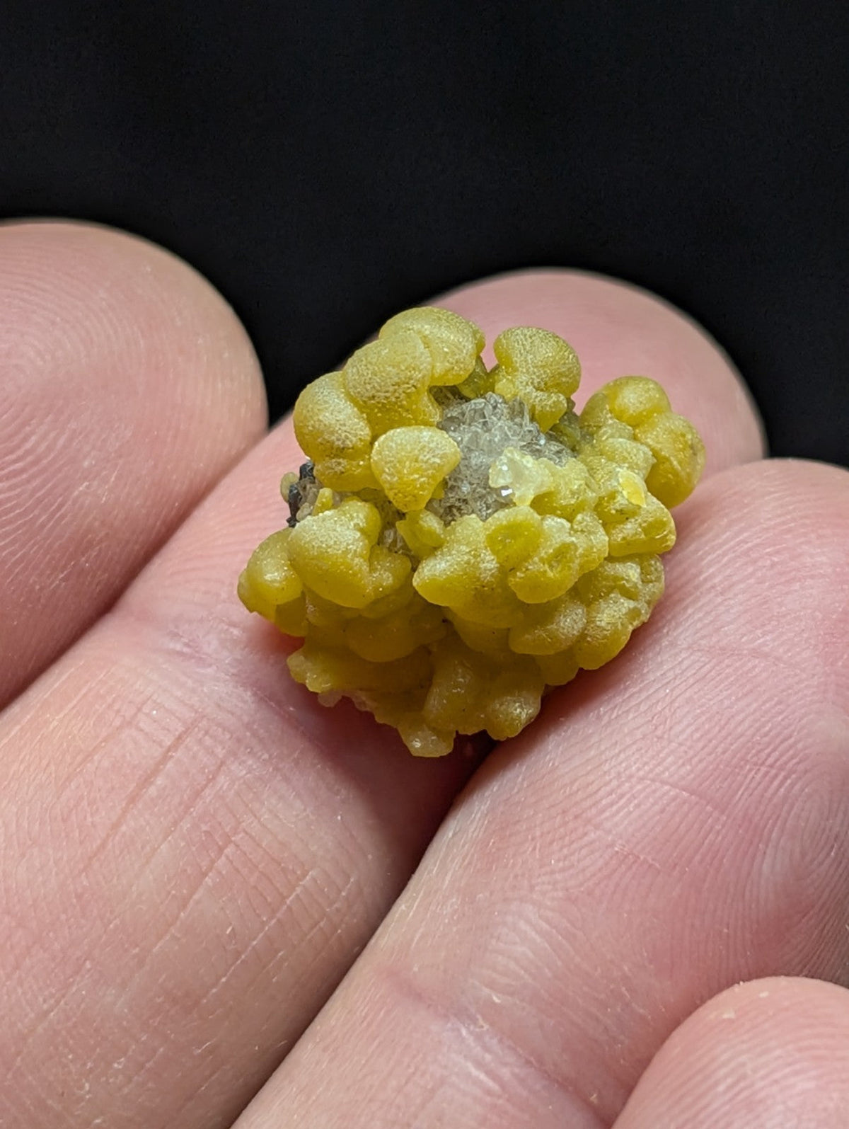 A vibrant yellow, bumpy mineral specimen with a textured surface and small grayish patches at its center.