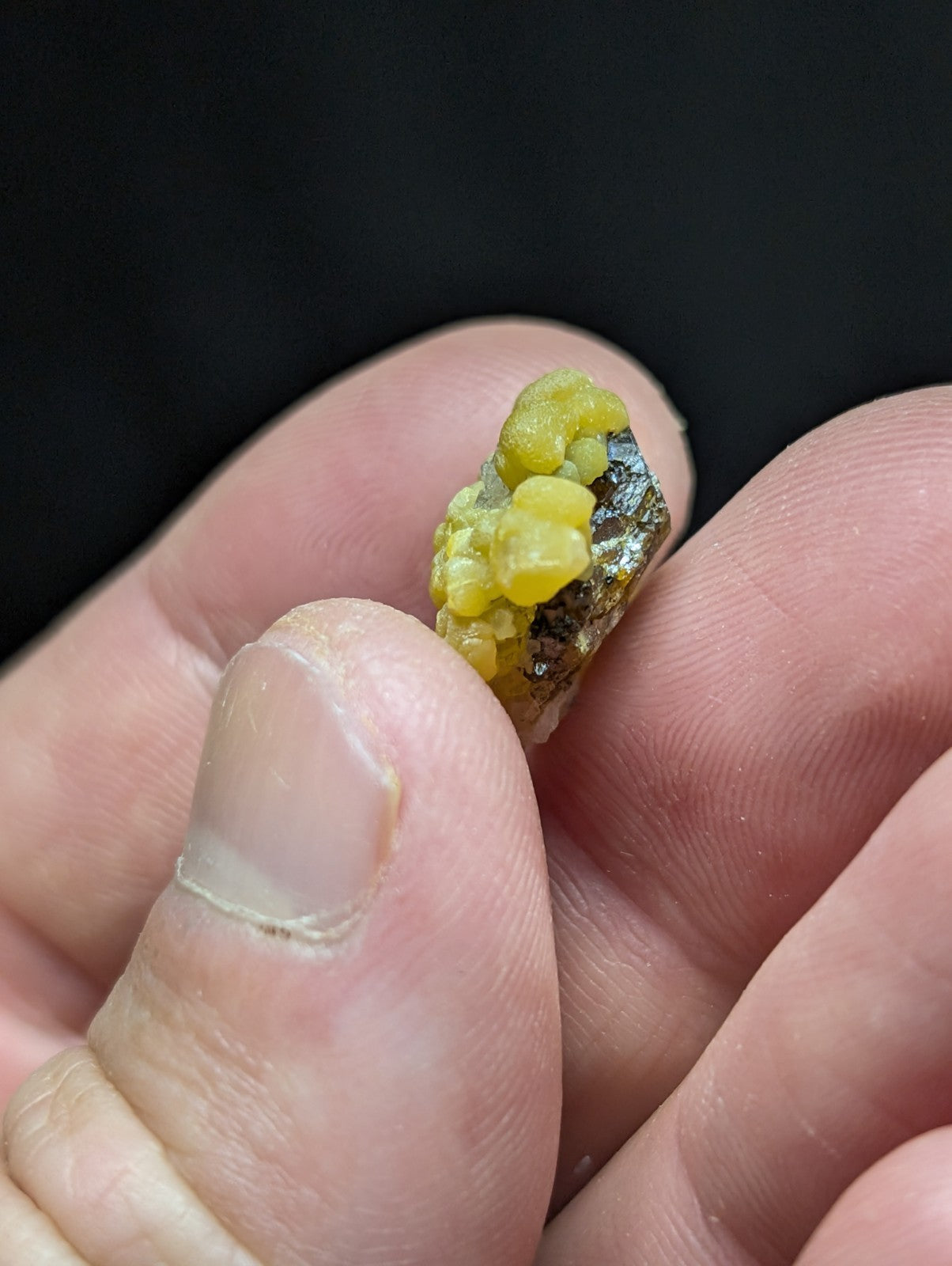 A cluster of bright yellow, translucent mineral crystals growing from a dark metallic base.