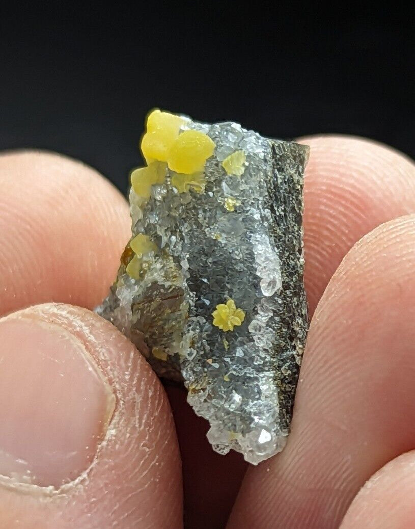 A hand holds a rough, grayish mineral specimen featuring vibrant yellow crystalline formations.