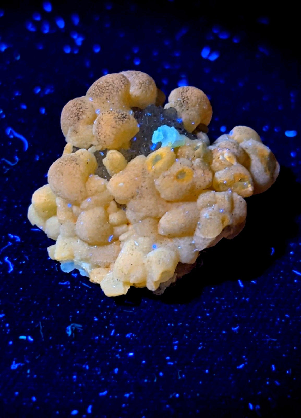 A cluster of yellow, bulbous mineral formations with a central dark core and faint blue fluorescence.