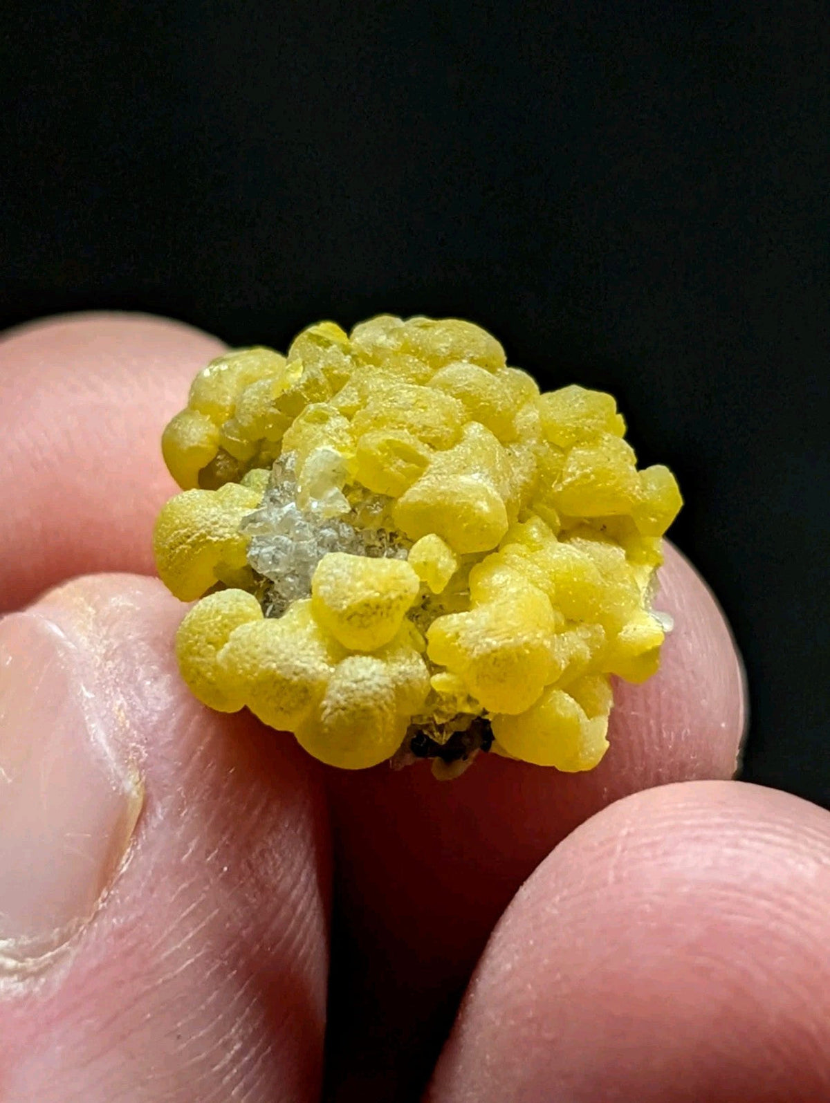 A vibrant yellow, bumpy mineral specimen with a crystalline texture and subtle white inclusions.