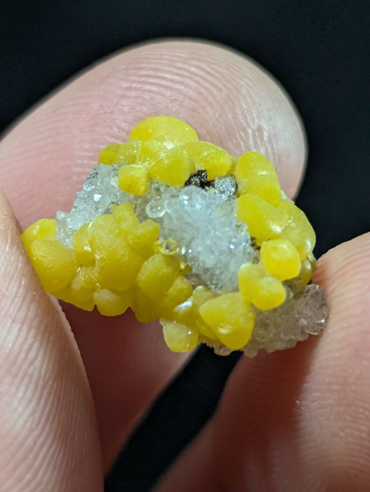 A vibrant yellow, bumpy mineral specimen with translucent white crystalline formations nestled between fingers.