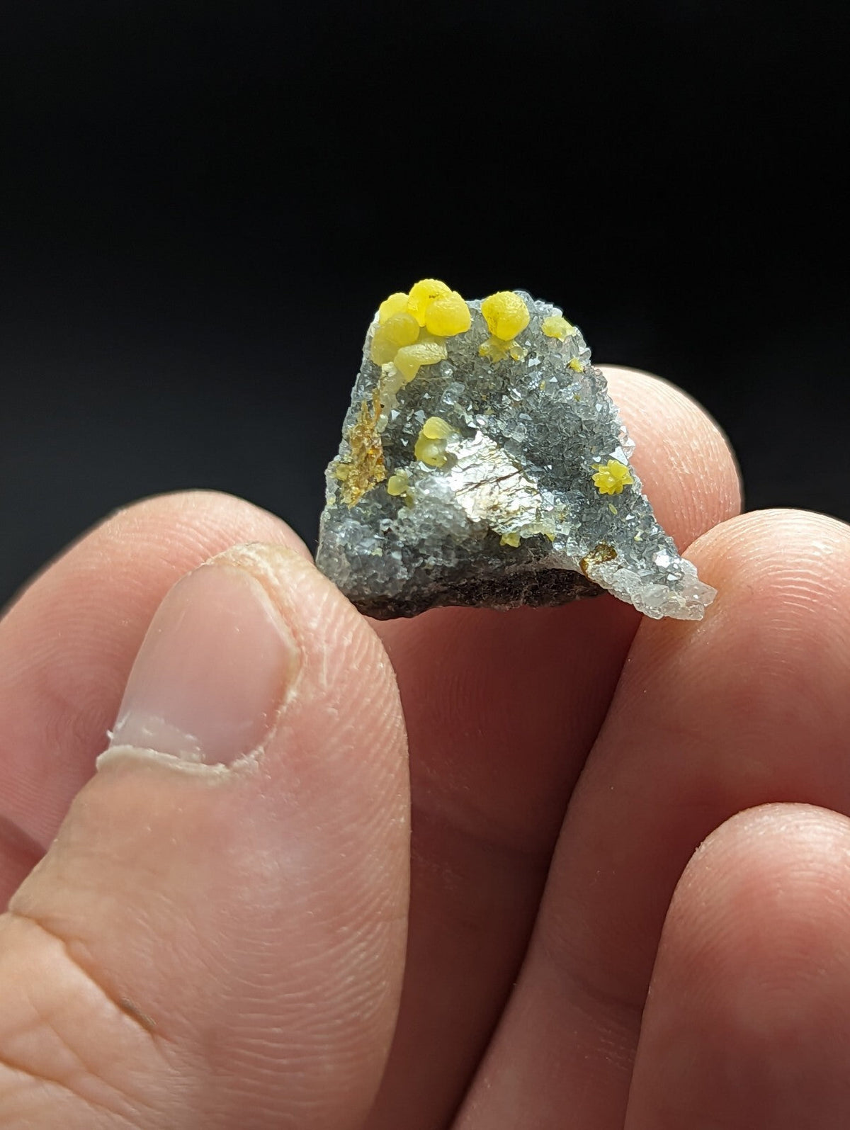 A hand holds a dark gray, translucent mineral specimen with bright yellow crystalline formations on its surface.