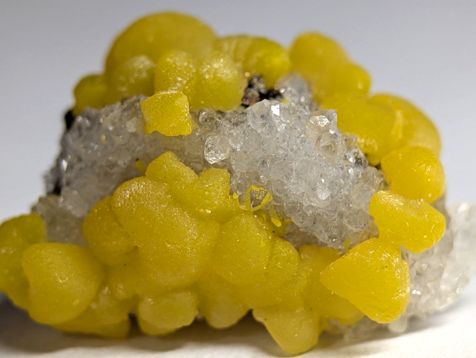 A vibrant yellow, bulbous mineral formation with translucent white crystalline structures nestled within its textured surface.
