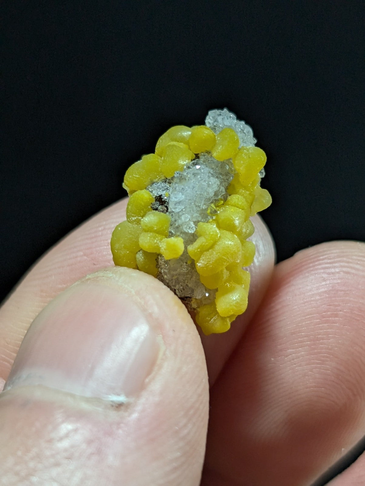 A yellow, bead-like mineral specimen with a crystalline white core held between fingers.