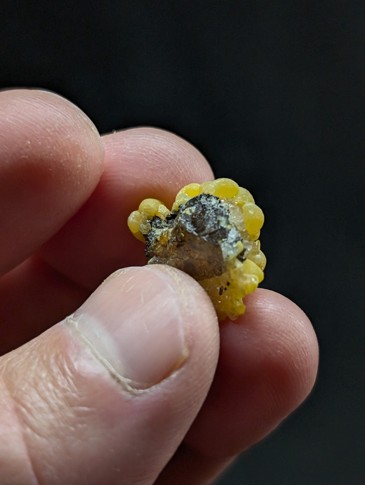 A yellow, bead-like mineral specimen with a dark, rough-textured core.