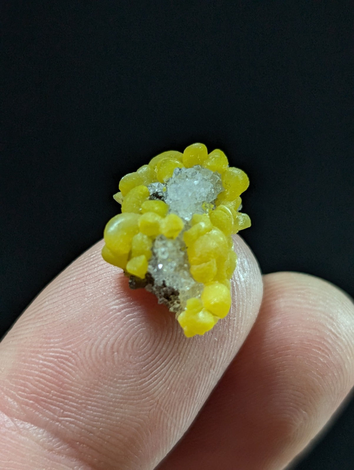 A vibrant yellow, clustered mineral specimen with translucent, bead-like formations and a central crystalline inclusion.