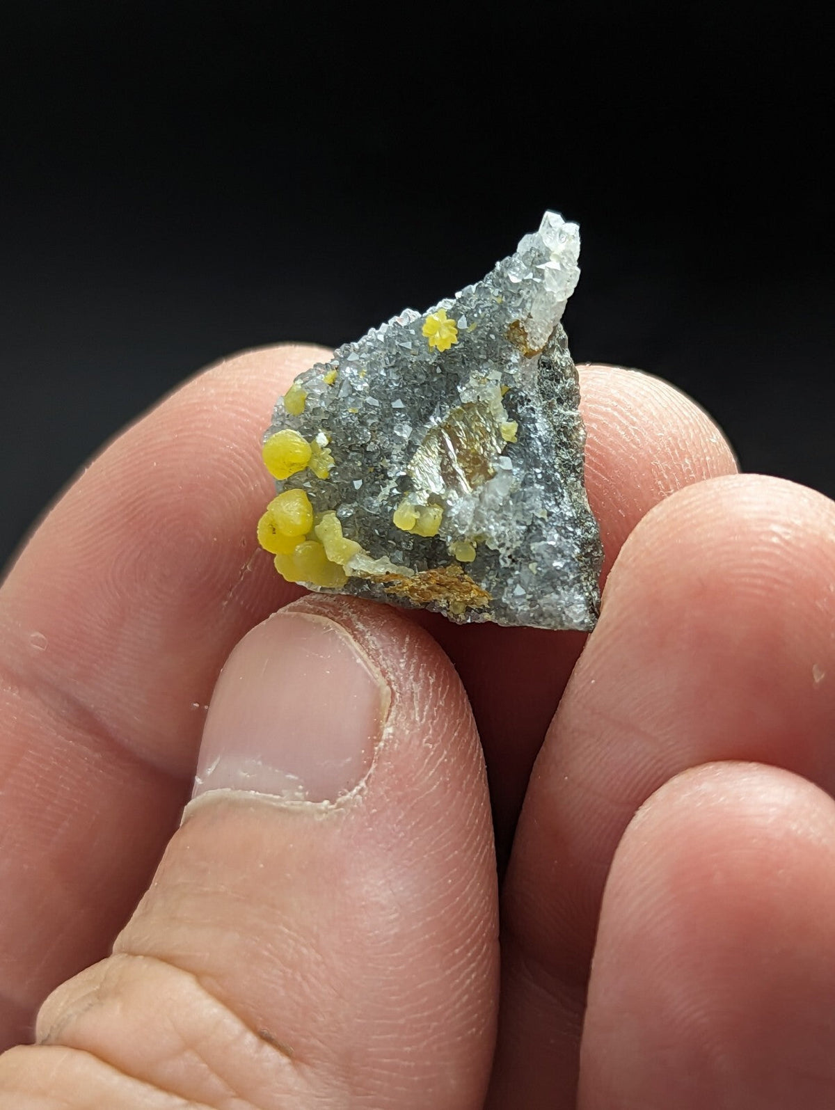 A gray rock specimen with vibrant yellow crystalline formations.