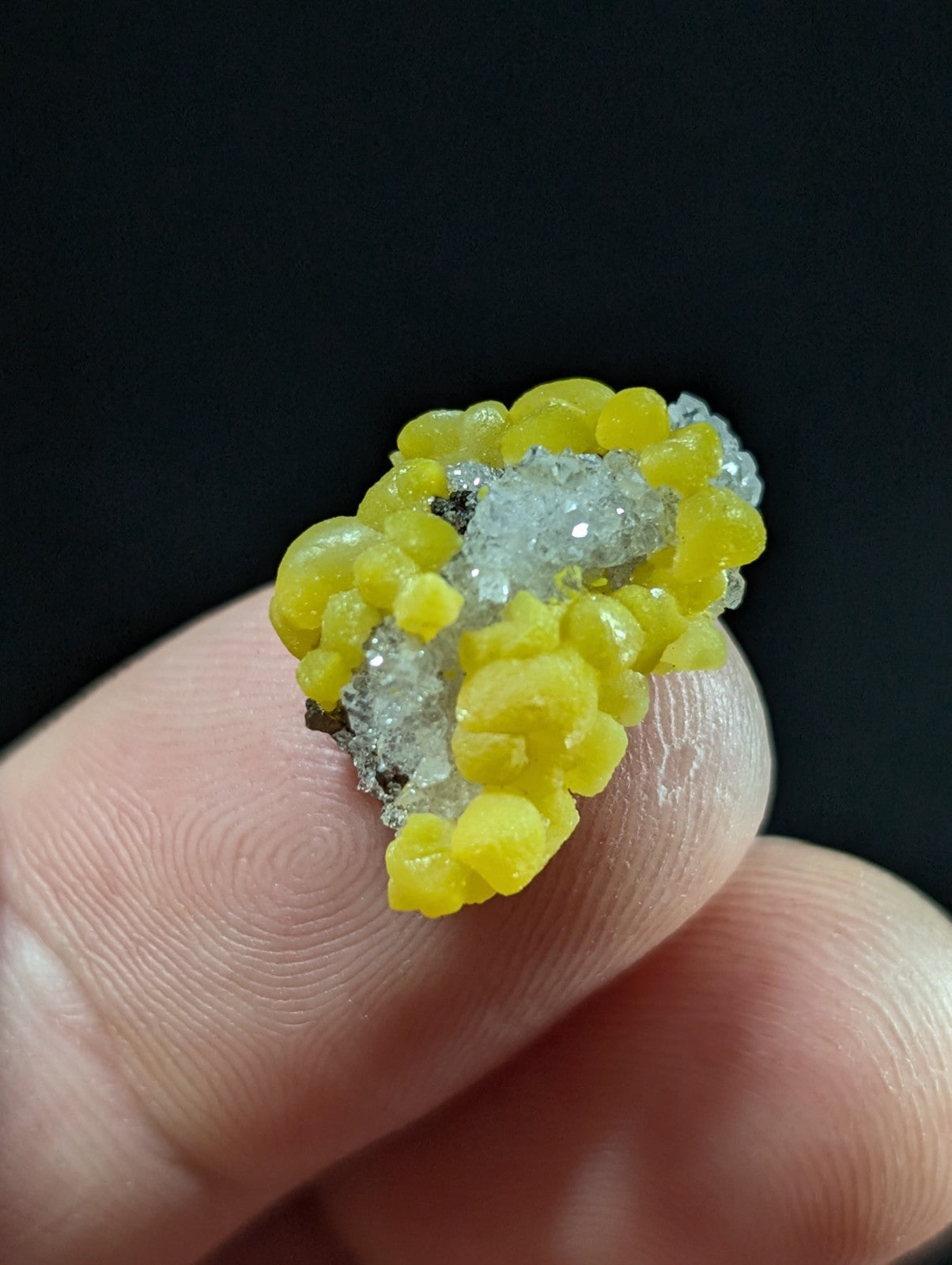 A vibrant yellow, bead-like mineral specimen with translucent crystalline formations.
