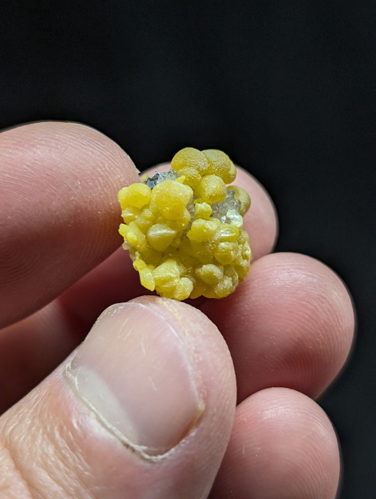 A cluster of vibrant yellow, rounded mineral crystals with a slightly translucent and glossy surface.