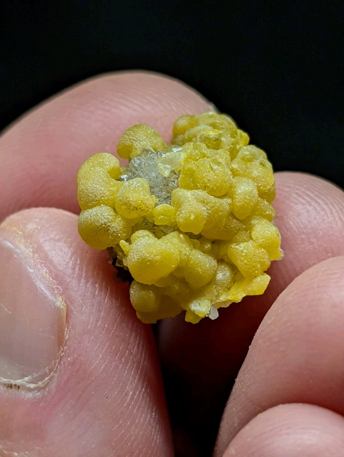 A vibrant yellow, bumpy mineral specimen with a crystalline center held delicately between fingers.