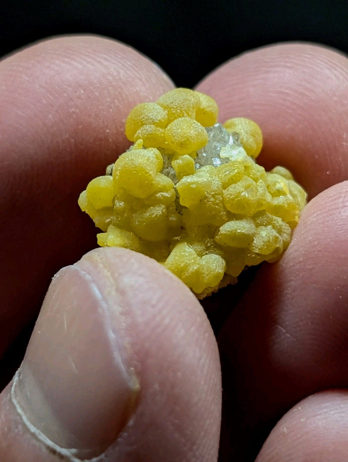 A vibrant yellow, bumpy mineral specimen with a crystalline center held gently between fingers.