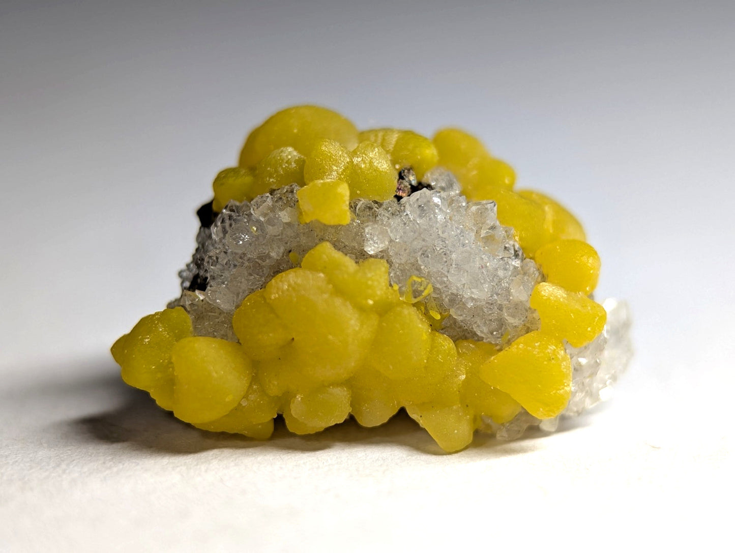 A vibrant yellow, rounded mineral cluster with translucent white crystalline formations nestled within.