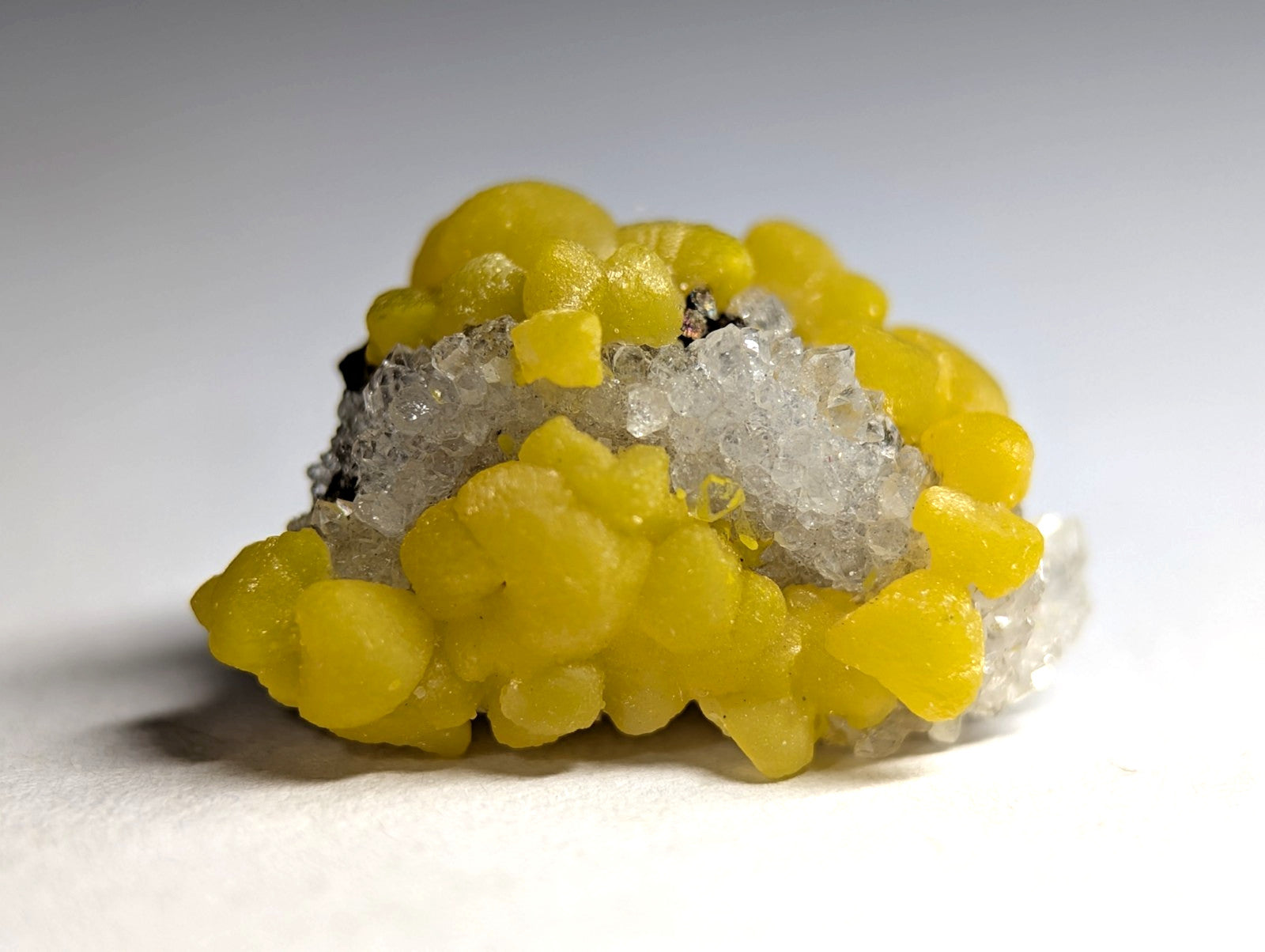 A vibrant yellow, rounded mineral cluster with translucent white crystalline formations nestled within.