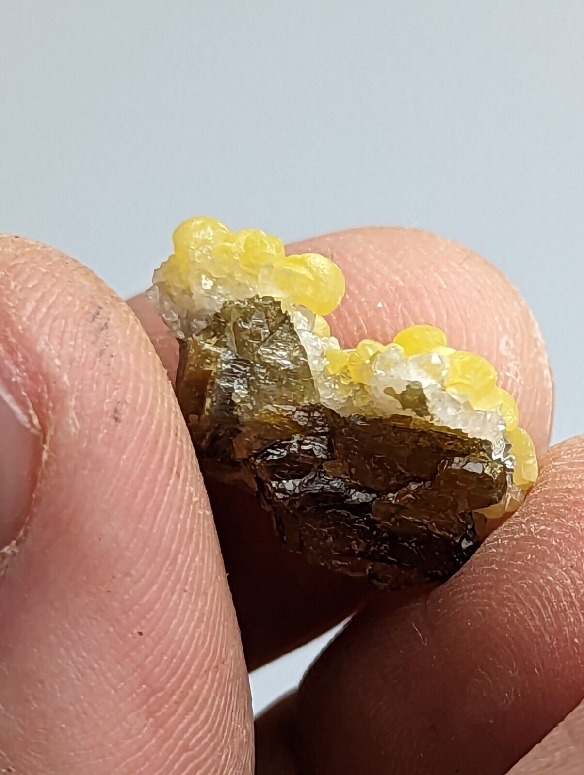 Greenockite Included Smithsonite on Sphalerite + Rush Creek Marion co Arkansas - Collectibles:Rocks Fossils &