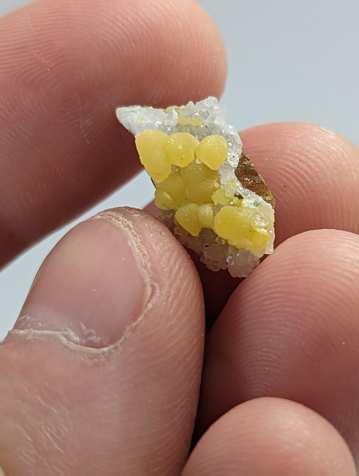 Greenockite included Smithsonite on Sphalerite Rush Creek Marion Co Arkansas - Collectibles:Rocks Fossils &