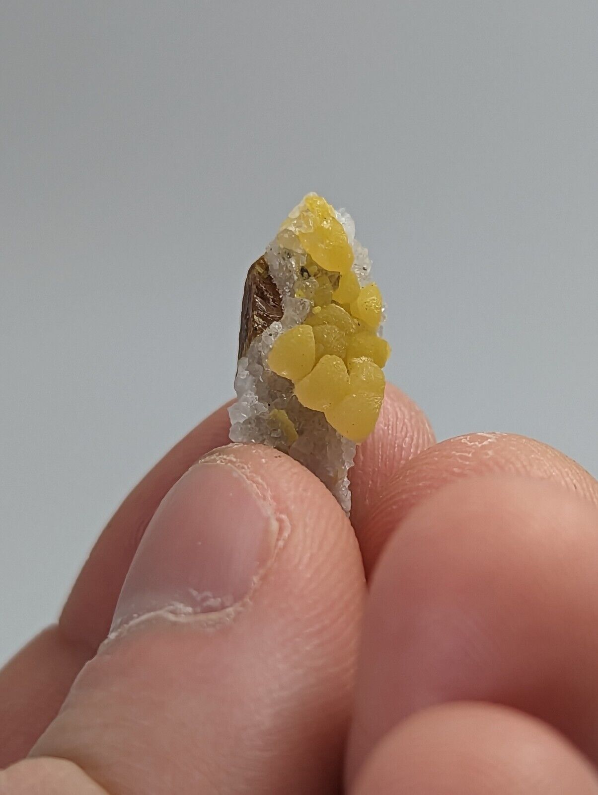 Greenockite included Smithsonite on Sphalerite Rush Creek Marion Co Arkansas - Collectibles:Rocks Fossils &