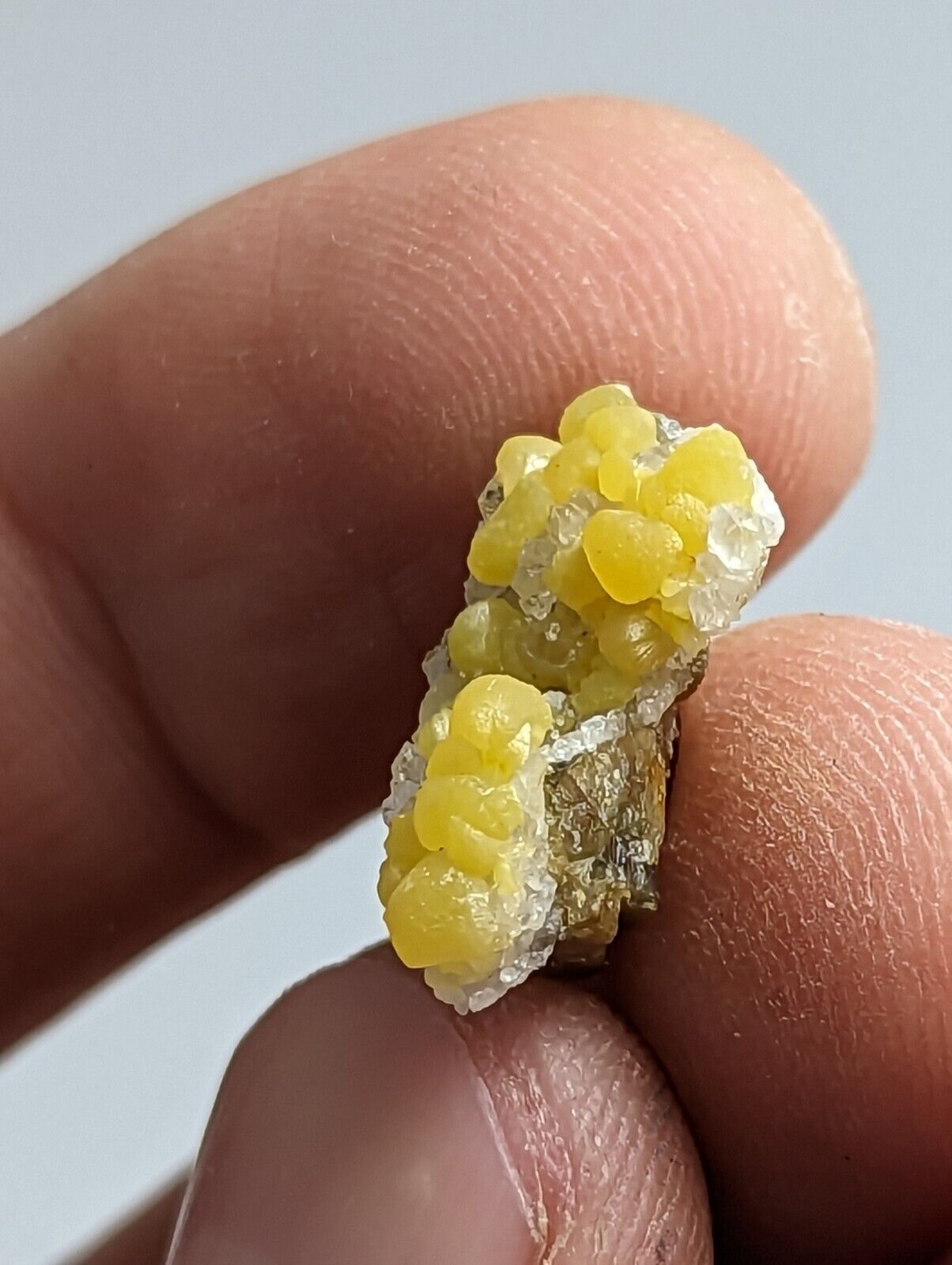 Greenockite Included Smithsonite on Sphalerite + Rush Creek Marion co Arkansas - Collectibles:Rocks Fossils &