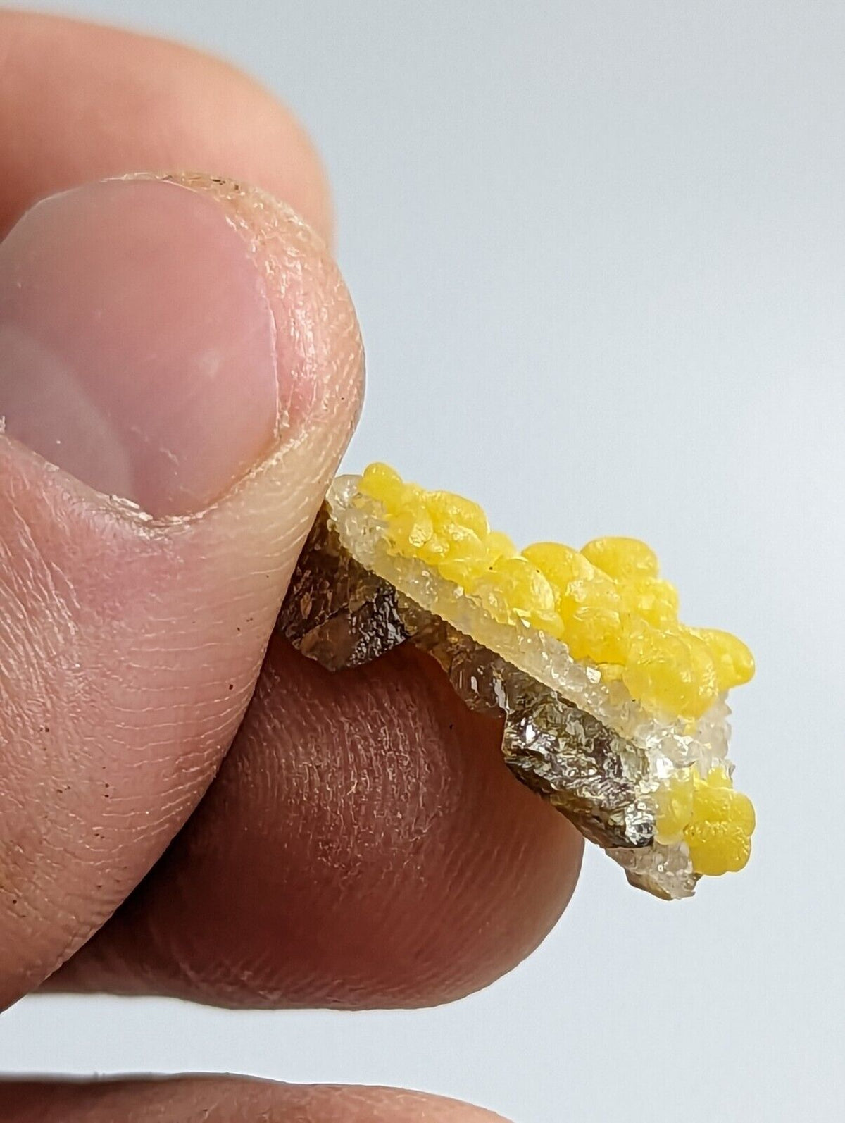 Greenockite Included Smithsonite on Sphalerite + Rush Creek Marion co Arkansas - Collectibles:Rocks Fossils &