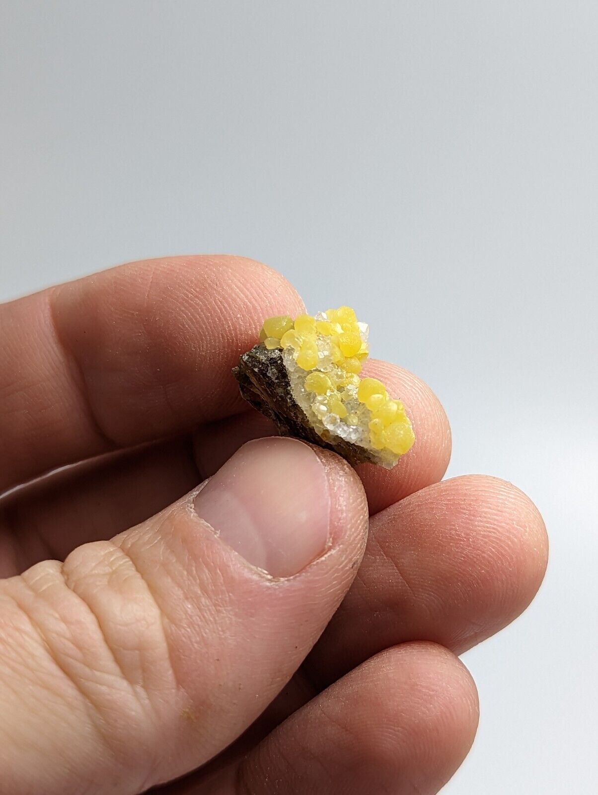 Greenockite Included Smithsonite on Sphalerite + Rush Creek Marion co Arkansas - Collectibles:Rocks Fossils &