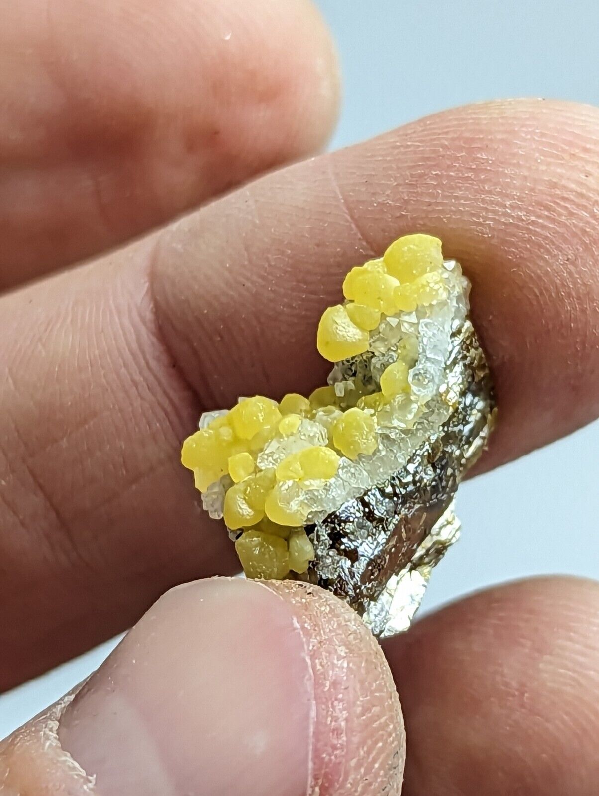 Greenockite Included Smithsonite on Sphalerite + Rush Creek Marion co Arkansas - Collectibles:Rocks Fossils &