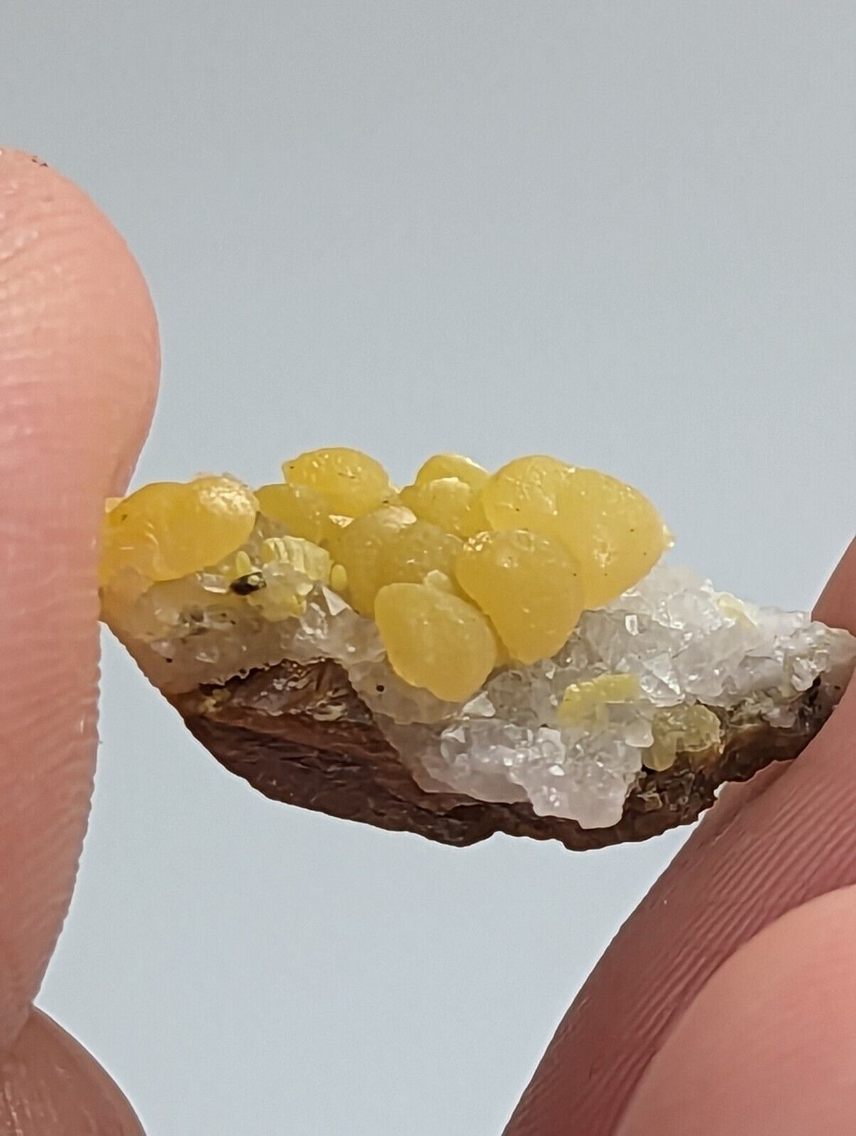 Greenockite included Smithsonite on Sphalerite Rush Creek Marion Co Arkansas - Collectibles:Rocks Fossils &