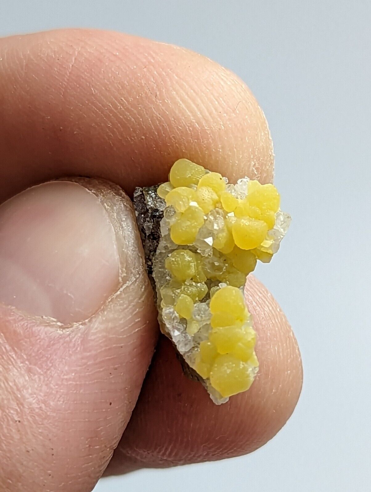 Greenockite Included Smithsonite on Sphalerite + Rush Creek Marion co Arkansas - Collectibles:Rocks Fossils &