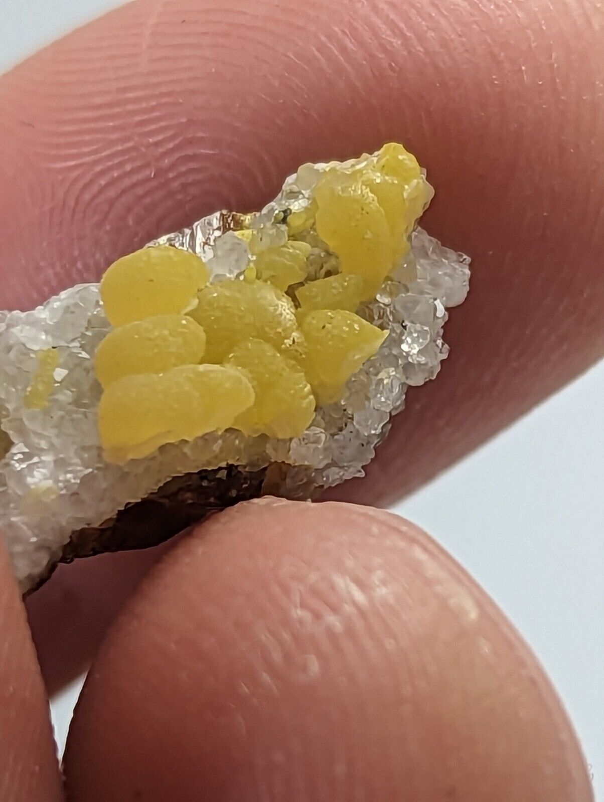 Greenockite included Smithsonite on Sphalerite Rush Creek Marion Co Arkansas - Collectibles:Rocks Fossils &