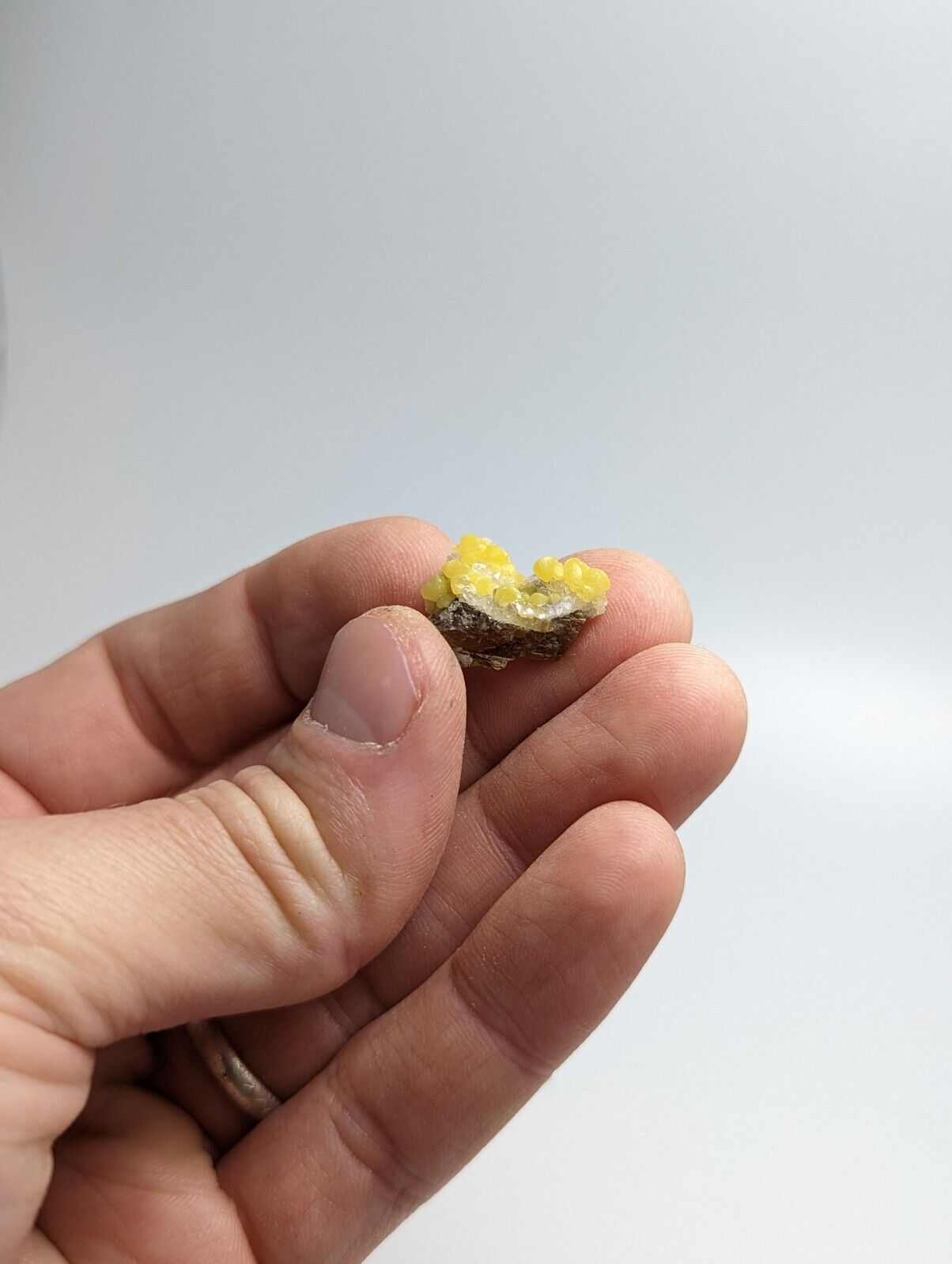 Greenockite Included Smithsonite on Sphalerite + Rush Creek Marion co Arkansas - Collectibles:Rocks Fossils &