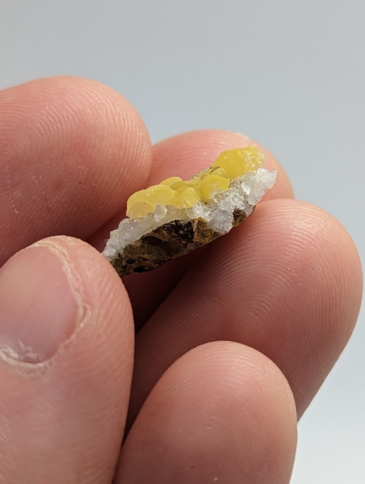 Greenockite included Smithsonite on Sphalerite Rush Creek Marion Co Arkansas - Collectibles:Rocks Fossils &