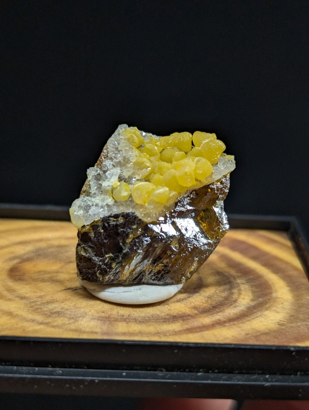 A striking yellow citrine geode specimen with translucent, rounded crystals clustered atop a dark, metallic-hued rock base.