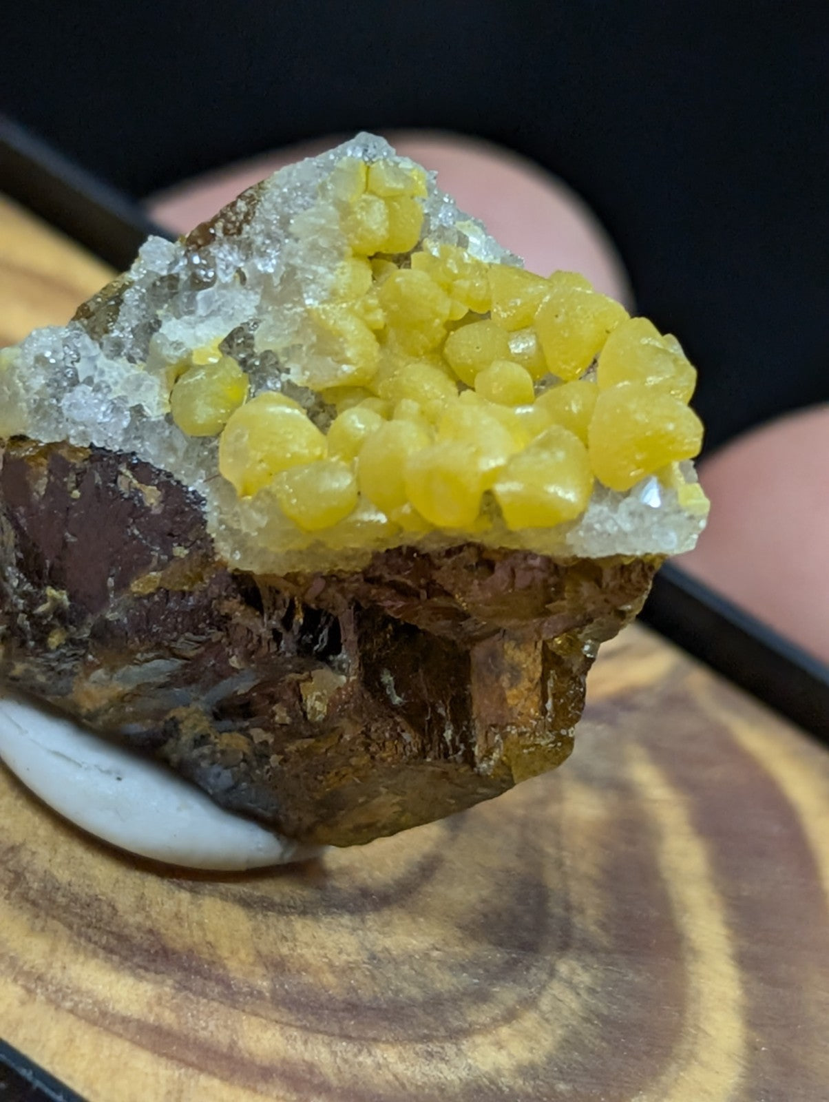A vibrant yellow citrine crystal cluster growing atop a translucent quartz matrix, set against a dark brown mineral base.