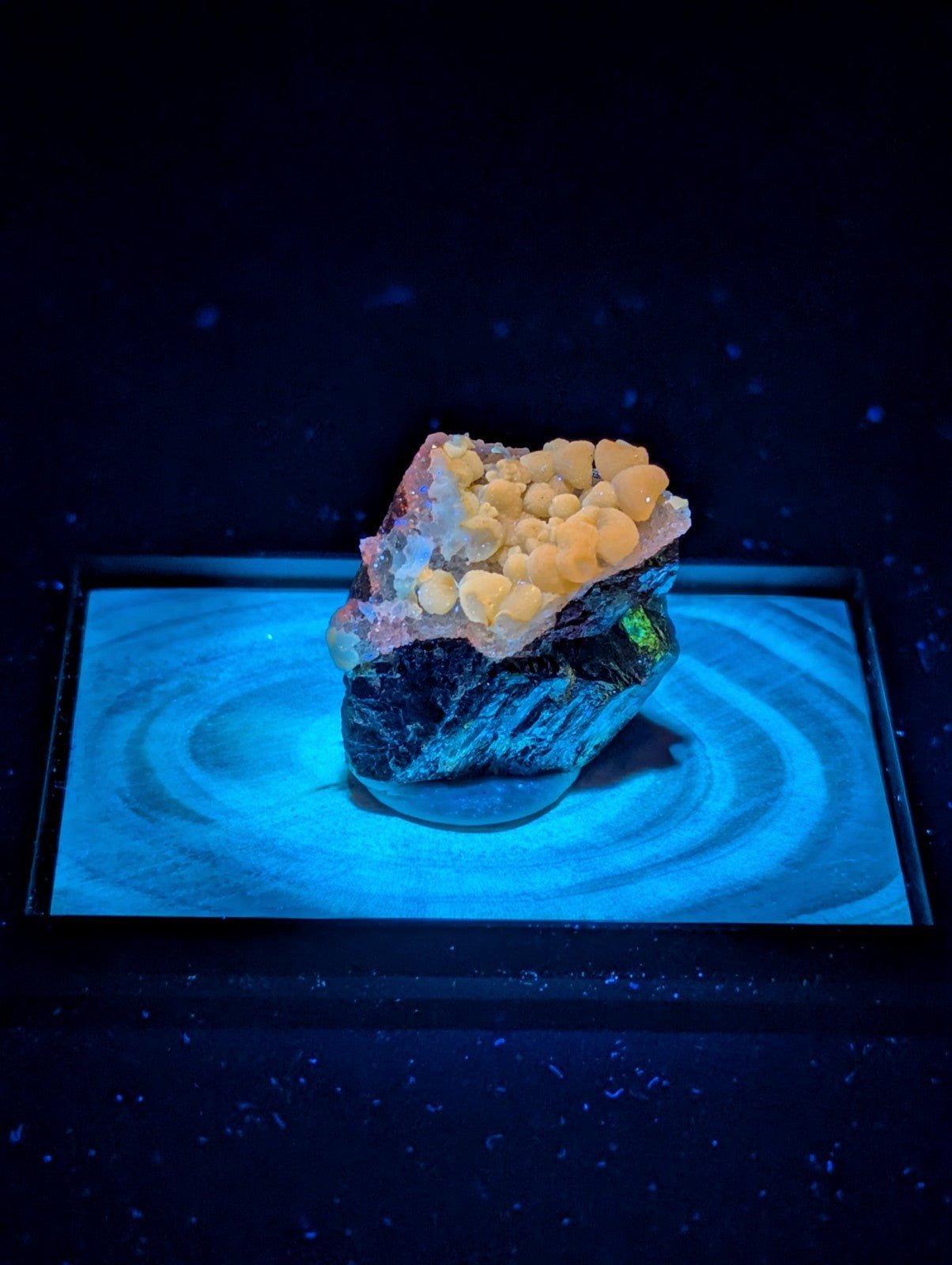 A striking geode with a dark, rugged exterior and vibrant yellow-orange crystalline formations glowing under blue light.