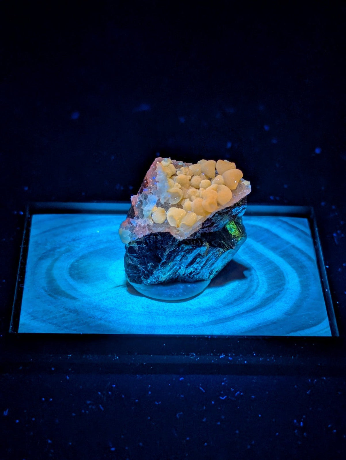 A striking geode with a dark, rugged exterior and vibrant yellow-orange crystalline formations glowing under blue light.