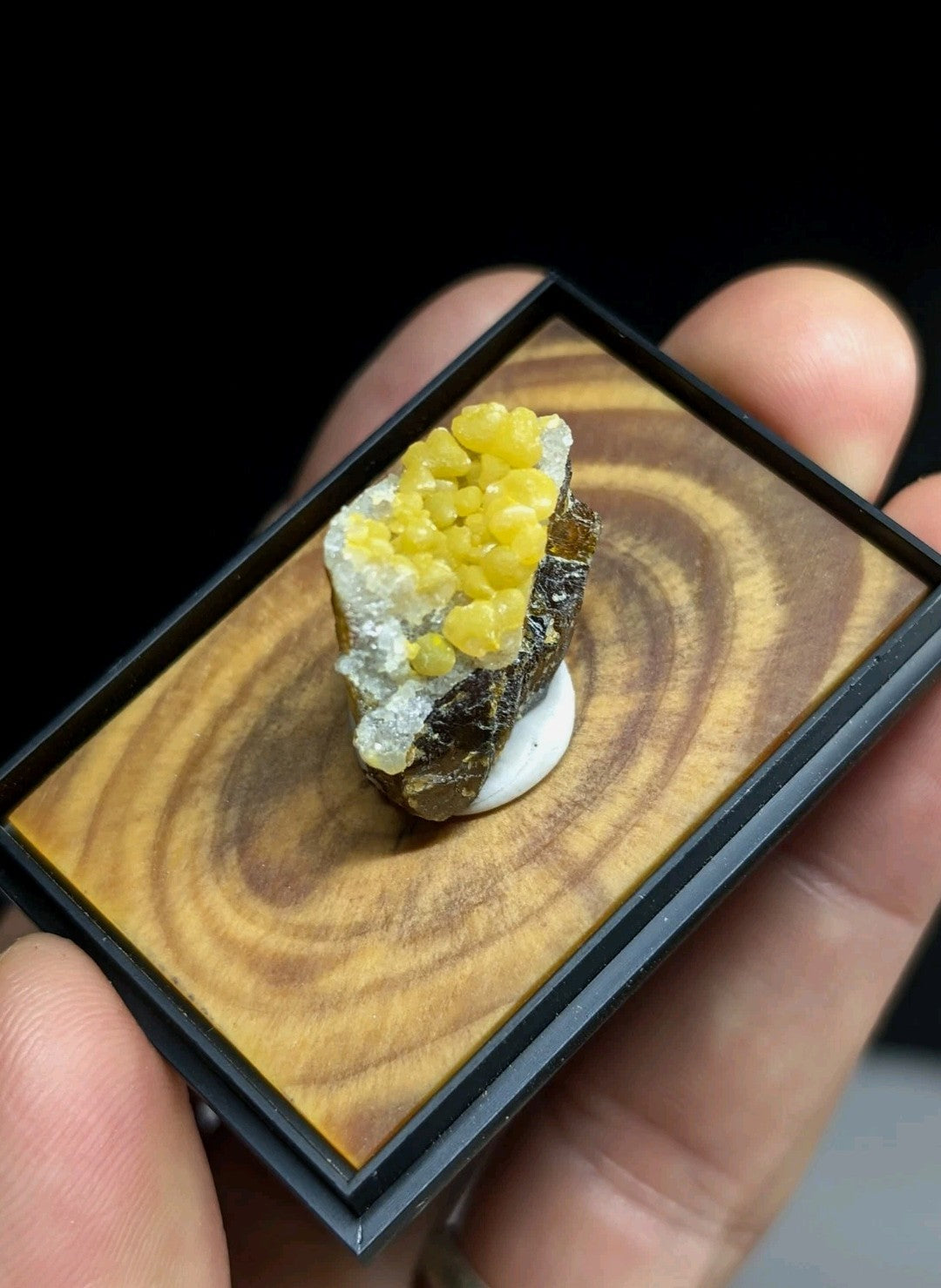 A vibrant yellow citrine crystal cluster nestled atop a dark, earthy matrix and displayed in an elegant black-framed wooden presentation box.