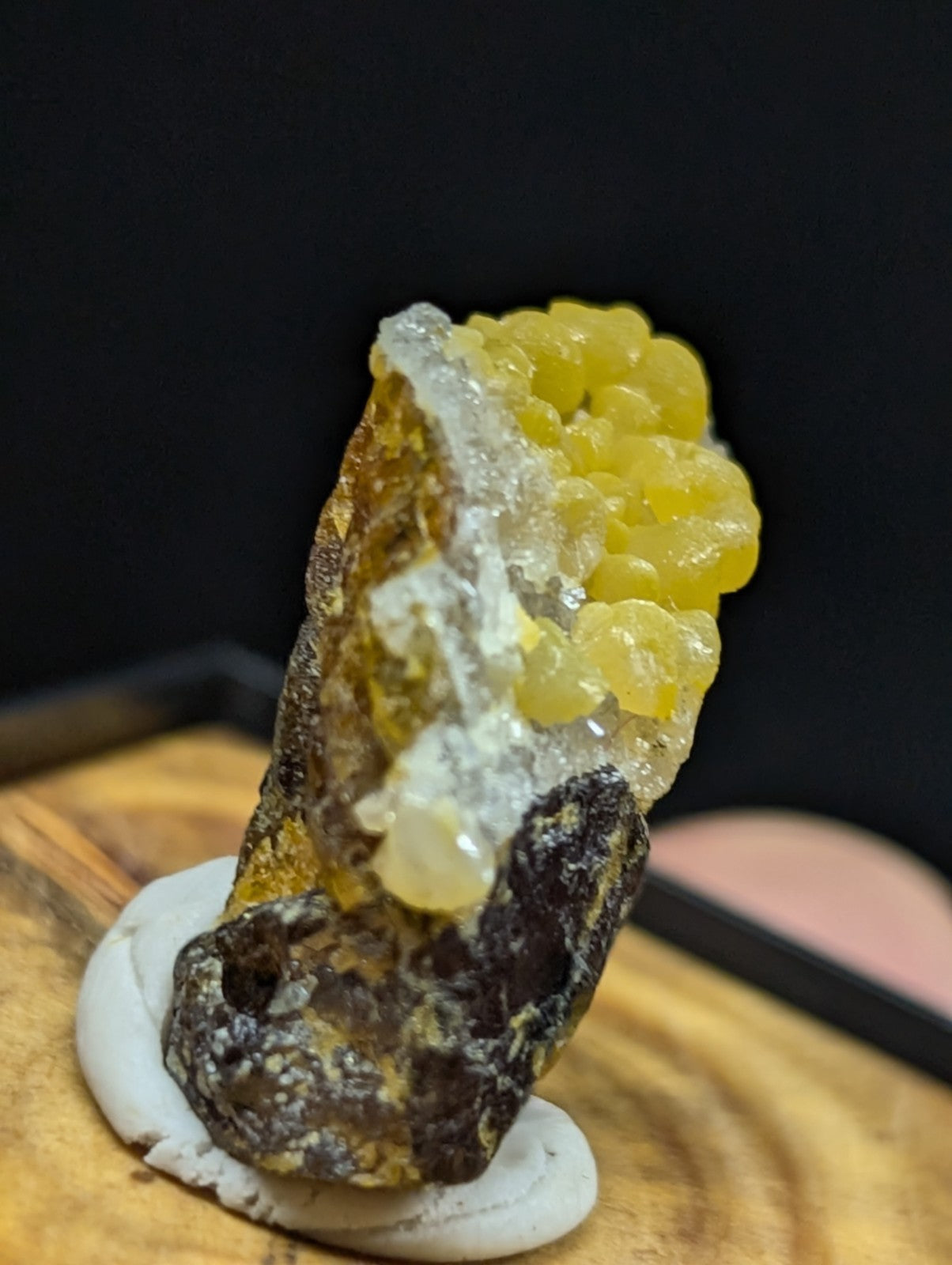 A striking yellow and white mineral specimen with a textured, crystalline surface mounted on a dark base.
