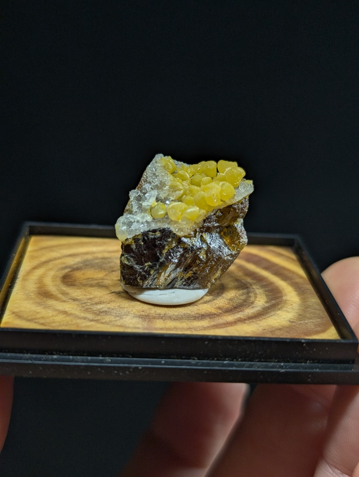 A vibrant yellow sulfur mineral specimen with translucent, rounded crystals growing atop a dark, textured rock base.