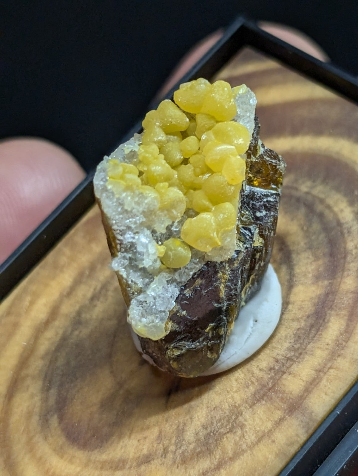 A vibrant yellow sulfur crystal cluster growing atop a dark, textured rock base.