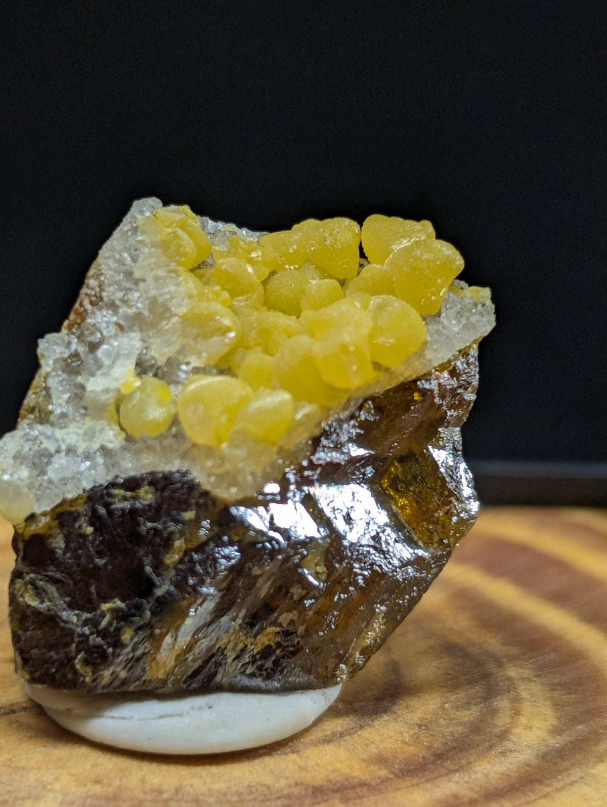 A striking geological specimen featuring a cluster of vibrant yellow, translucent crystals growing atop a dark brown and metallic sheen rock base.