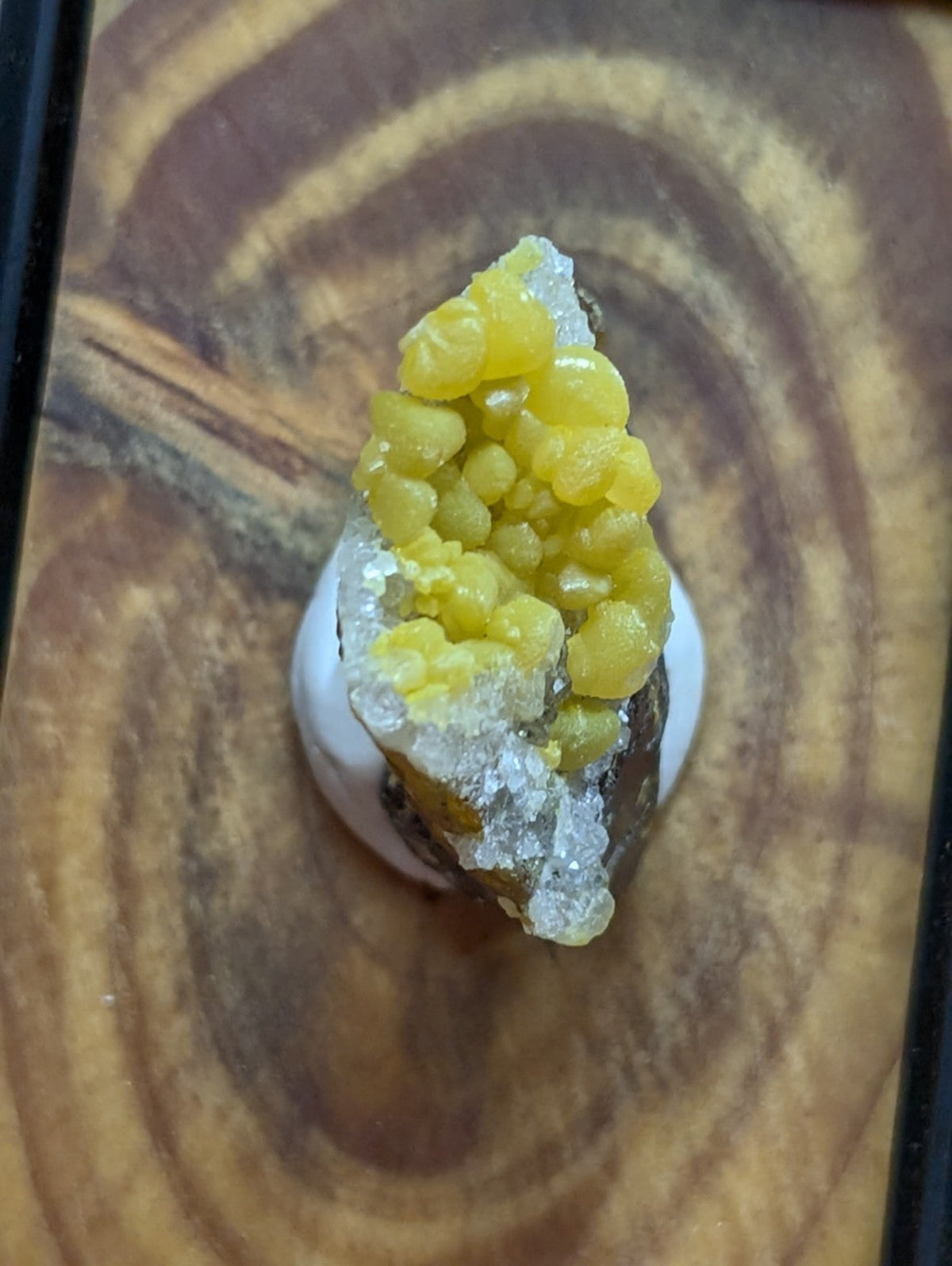 A vibrant yellow, bead-like mineral formation with translucent white crystalline accents.