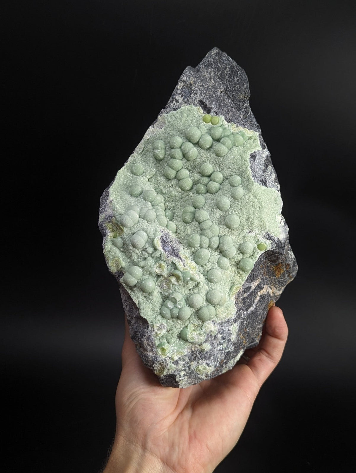 A hand holds a dark gray rock specimen featuring clusters of pale green, rounded nodules.