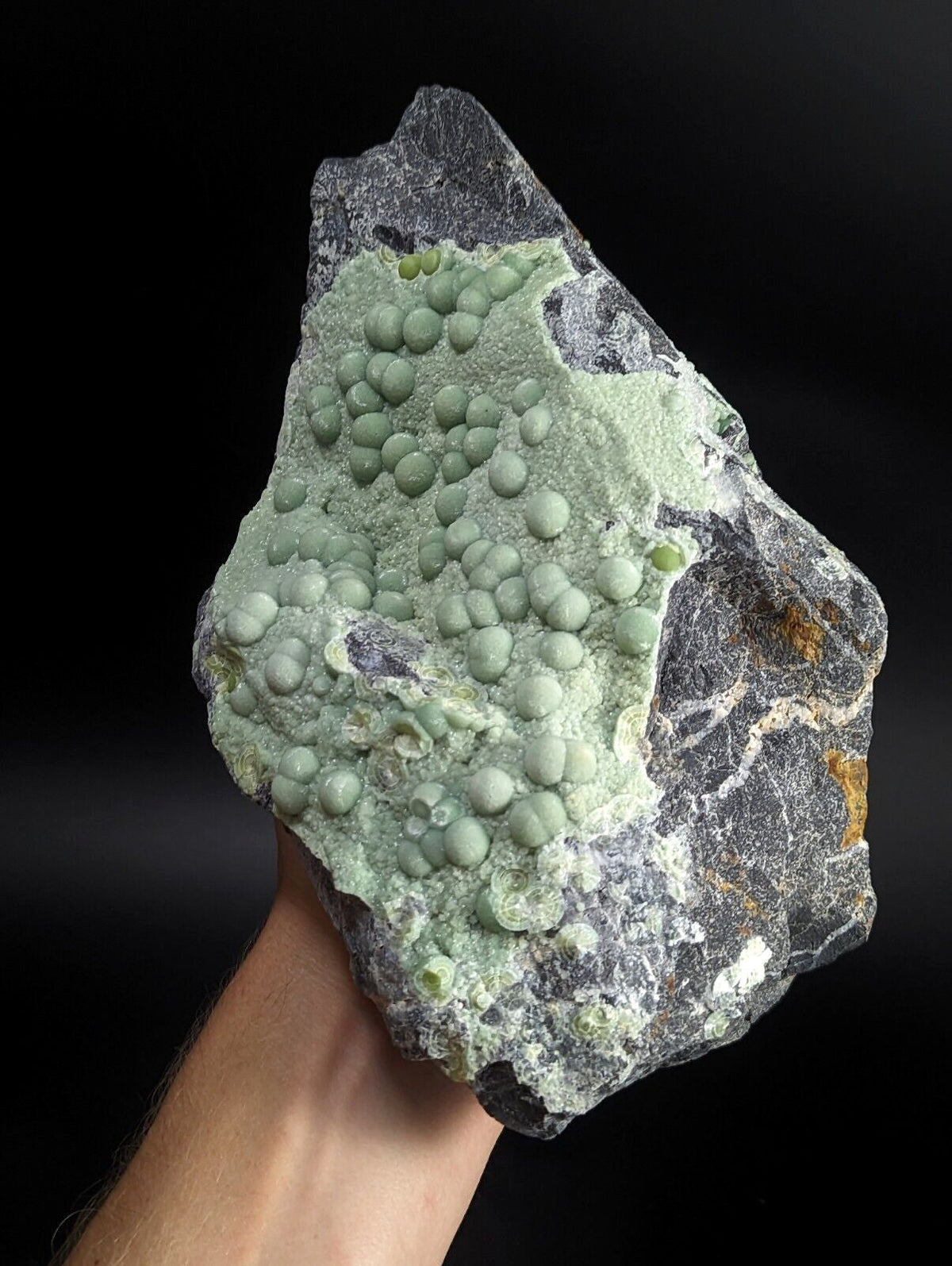 A striking green mineral specimen featuring a cluster of spherical, bead-like formations growing from a dark gray rock matrix.