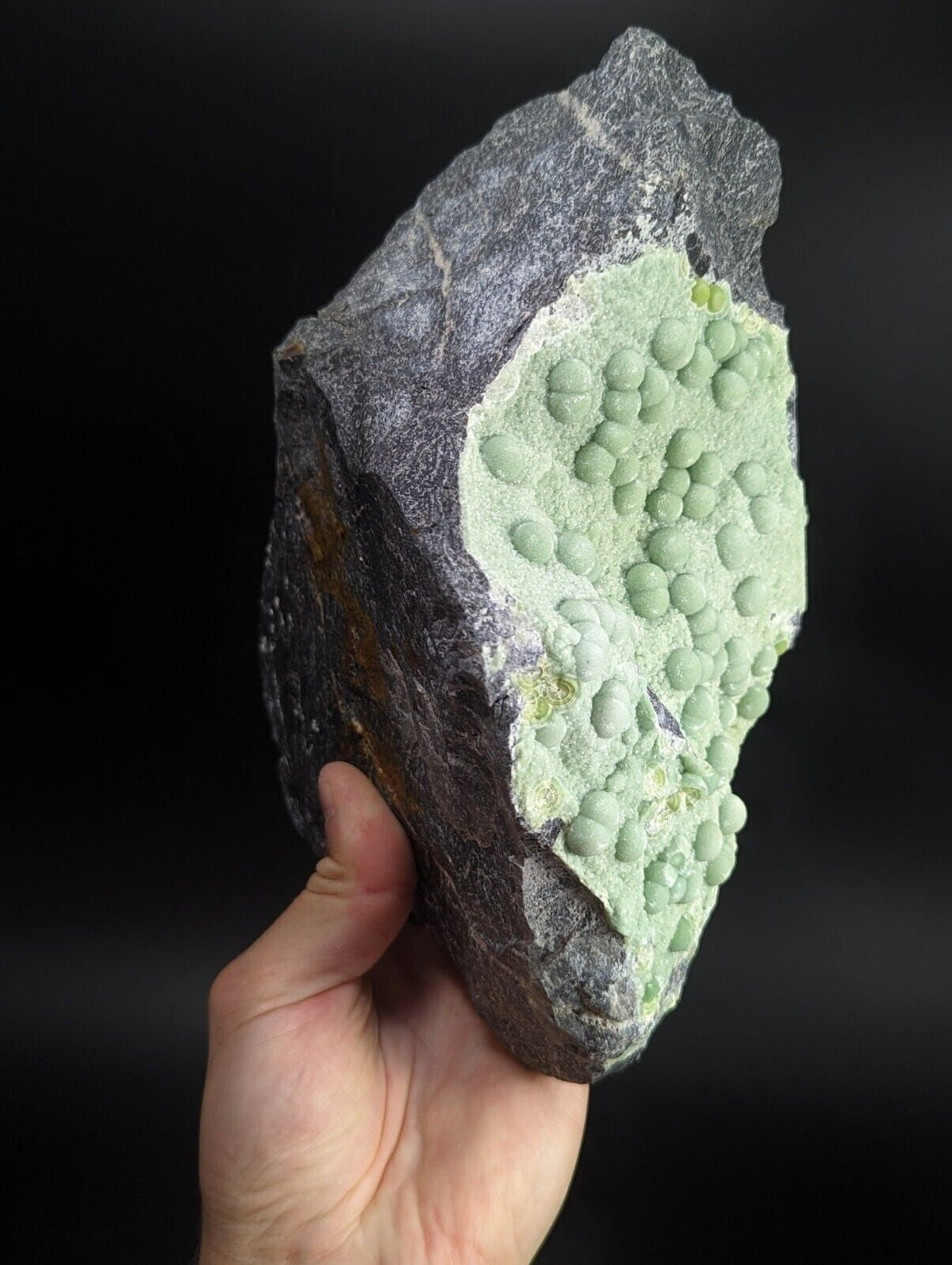A hand holds a dark gray rock specimen featuring a striking cluster of light green, rounded mineral formations.
