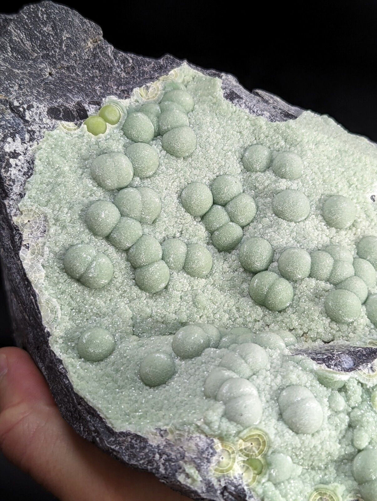 A pale green, spherical mineral formation nestled within a dark gray rock matrix.