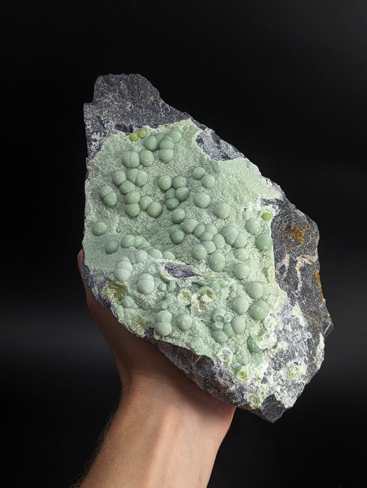 A hand holds a striking greenish-gray mineral specimen featuring numerous rounded, bulbous formations clustered across its surface.