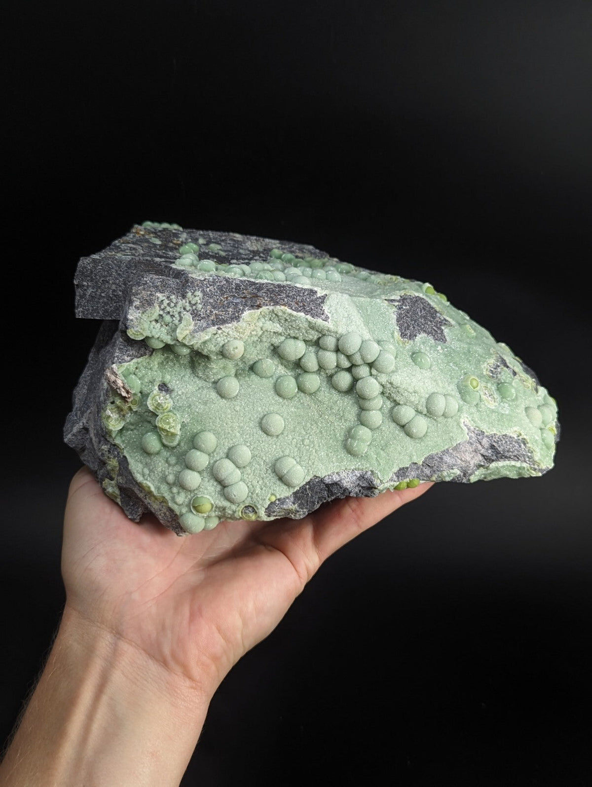 A hand holds a striking green mineral specimen featuring clusters of rounded, bulbous formations against a dark gray matrix.