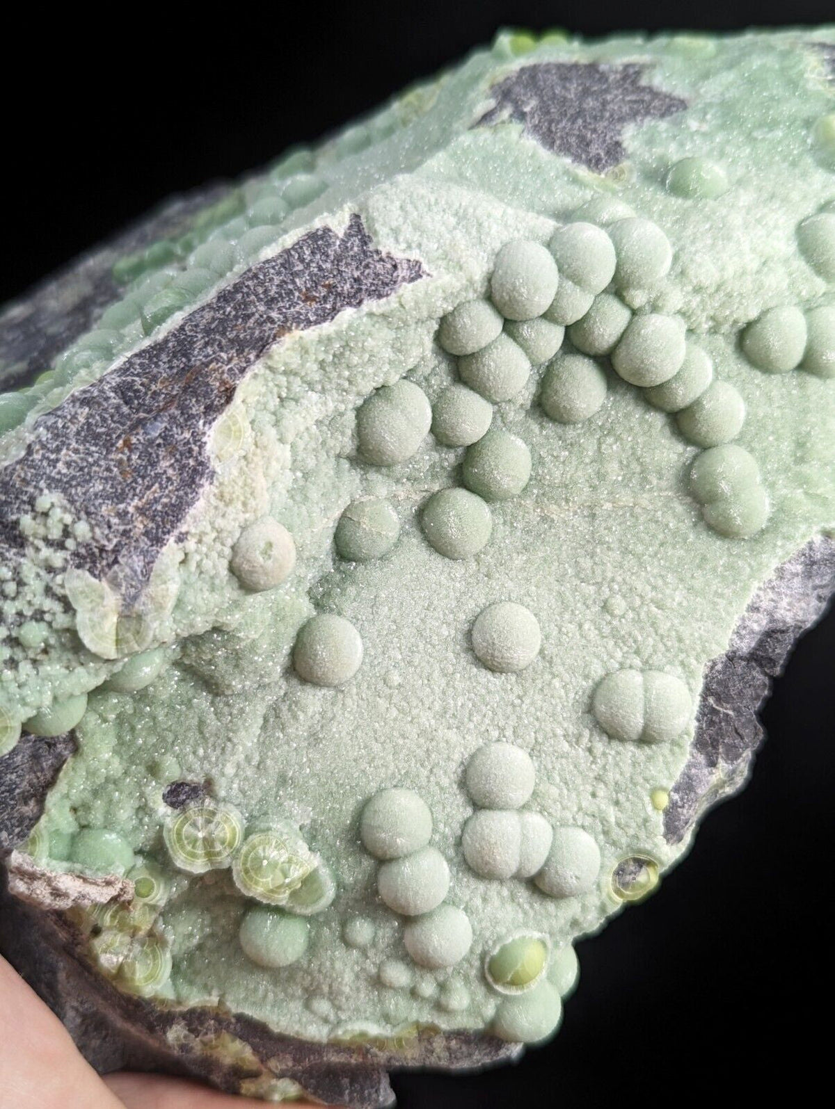 A greenish-gray mineral specimen featuring rounded, bead-like formations clustered across its surface.