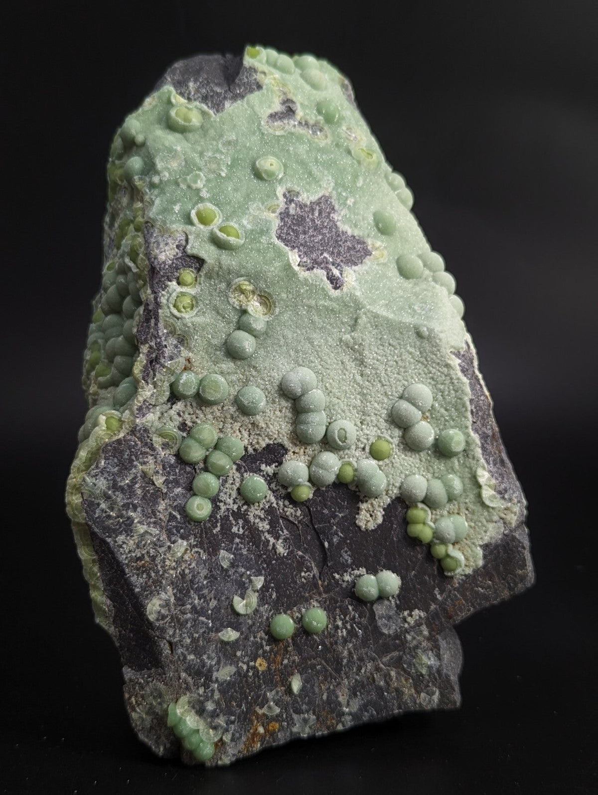 A striking green mineral specimen featuring clusters of spherical, bead-like formations on a dark gray rock base.