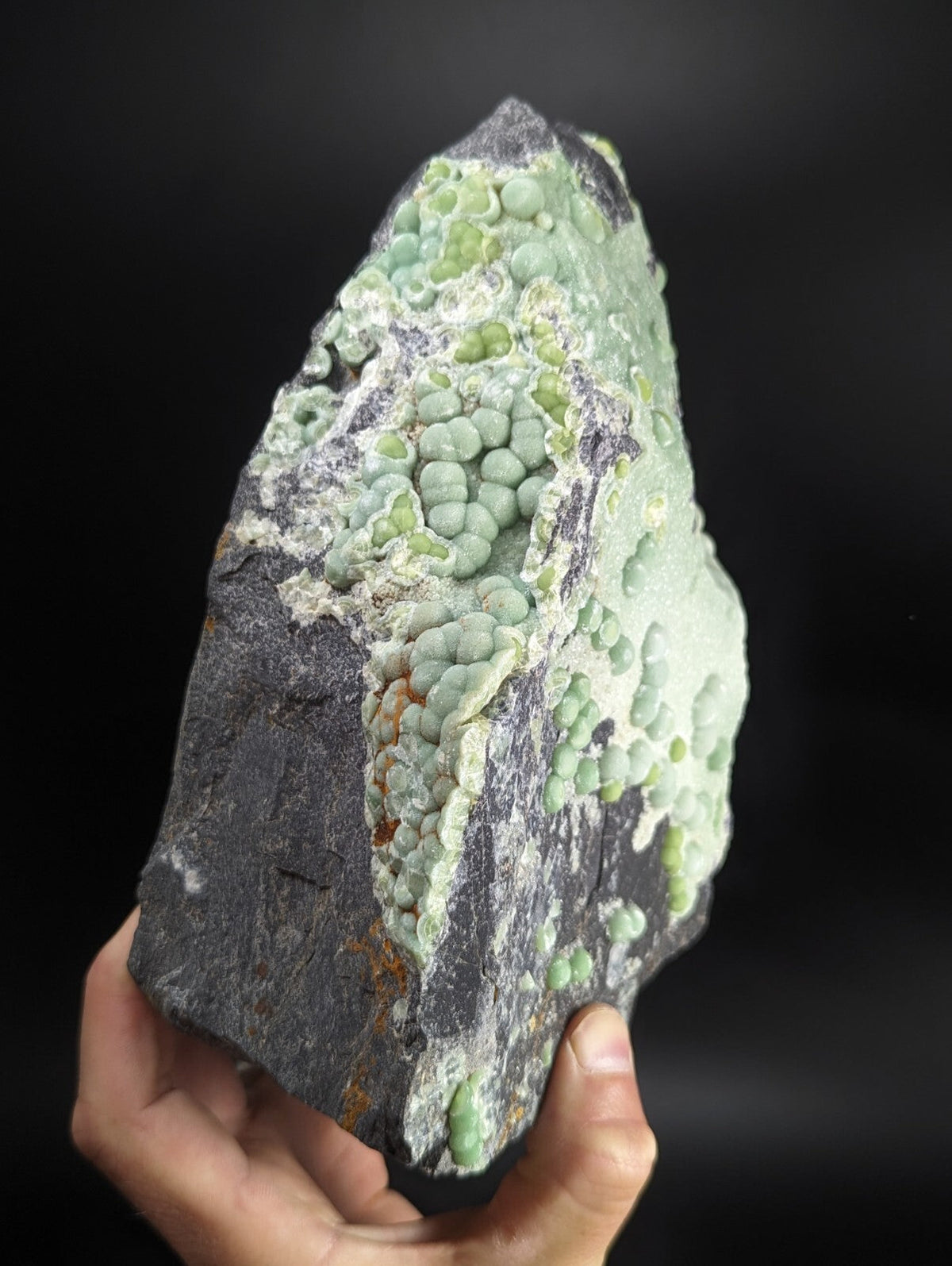 A hand holds a dark gray rock specimen featuring clusters of light green, bead-like mineral formations.
