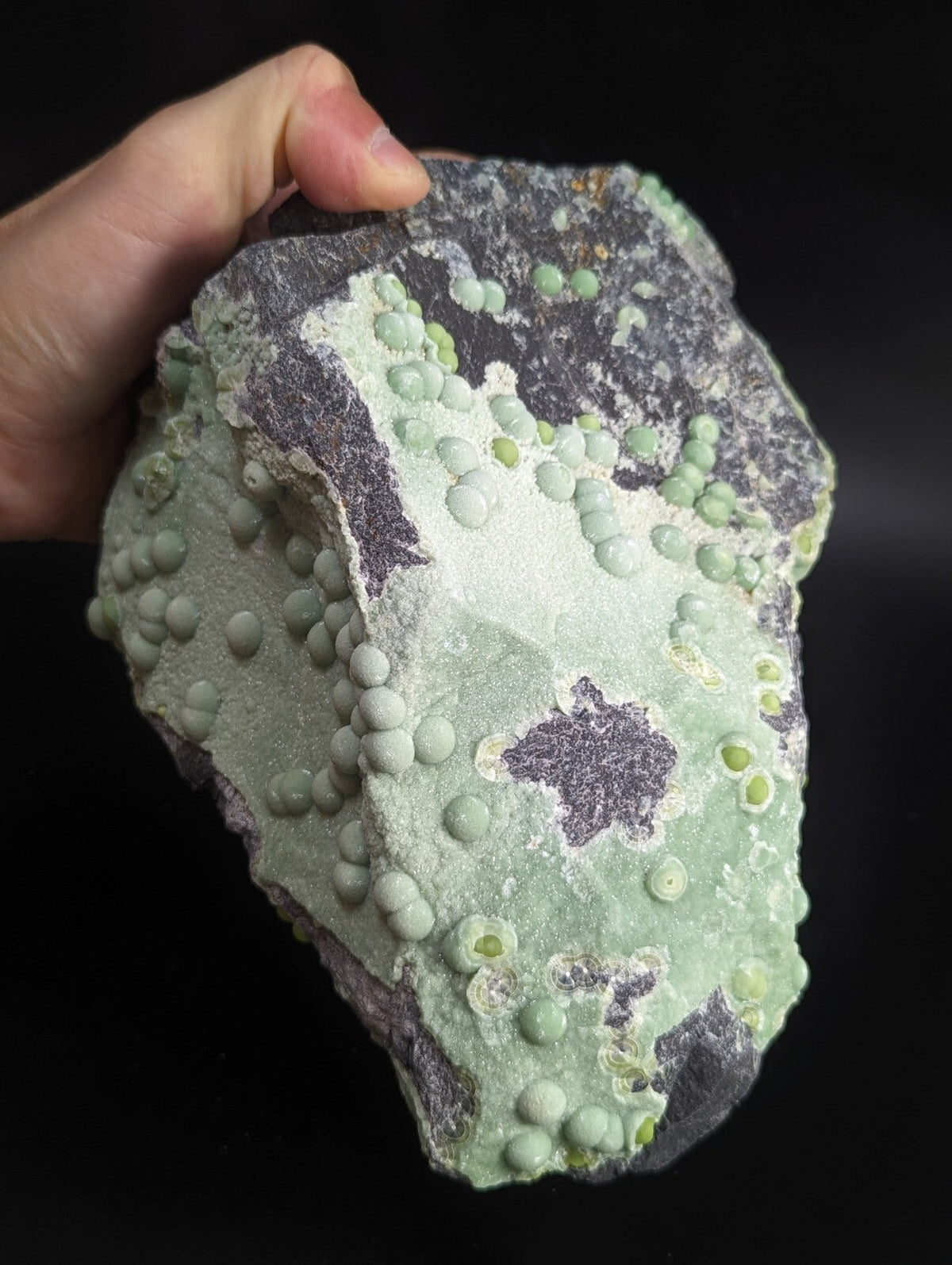 A hand holds a striking green and gray mineral specimen featuring numerous small, rounded nodules across its surface.